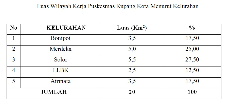 puskesmas kupang kota