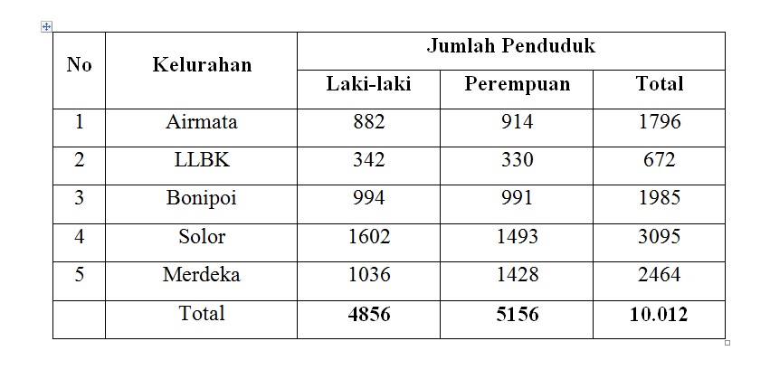 puskesmas kupang kota