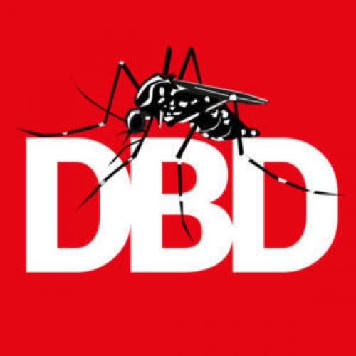 DEMAM BERDARAH DENGUE MENINGKAT DI MUISM PENGHUJAN